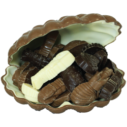 coquille-saint-jacques-en-chocolat-maison-maxime-chocolaterie-et-gourmandise-fabrication-artisanale-normandie-picardie