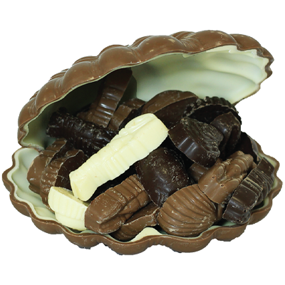 coquille-saint-jacques-en-chocolat-maison-maxime-chocolaterie-et-gourmandise-fabrication-artisanale-normandie-picardie