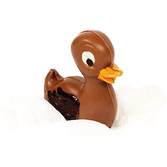 duke-le-canard-animaux de la ferme chocolat-au-lait-maison-maxime-fabricant-de-chocolat-en-france-normandie-picardie